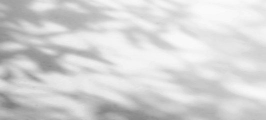 Abstract The gray background shadows of natural leaves that reflect the concrete walls, the fallen...
