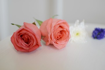 Beautiful Flowers on a white Table, Background