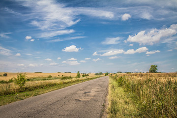 Fototapeta na wymiar Road among fields in the summer 