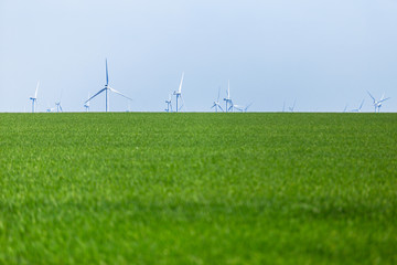 Alternative wind energy. Wind turbines on sunny field