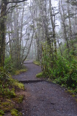Tongariro Nationalpark Neuseeland