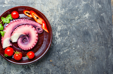 Raw octopus on plate