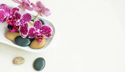 Fototapeta na wymiar Spa still life setting with orchid flower and massage stones