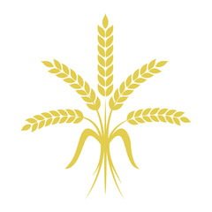 Bunch of wheat on white background. Vector illustration.