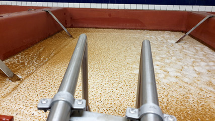 Gärung bei der Bierherstellung