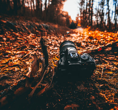 Kamera in der Natur im Herbst