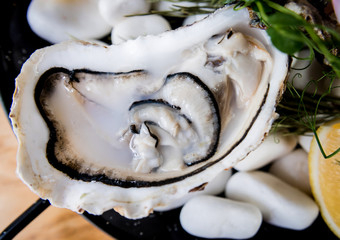 Fresh oysters on a plate with ice and flowers. Restaurant