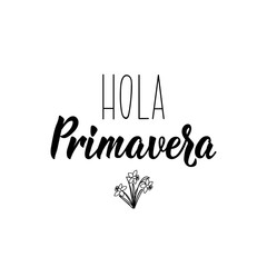 Hello spring - in Spanish. Lettering. Ink illustration. Modern brush calligraphy. © anngirna