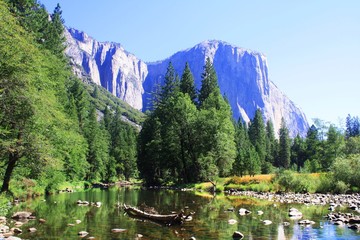 Fototapeta premium Yosemite in the summer