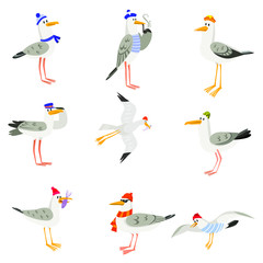 Set of funny cartoon gulls in scarves and hats. Seagull or cormorant as a boatswain or captain.