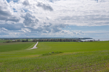Stormy sky over a green sown field with wind power on the background. Central Sweden.