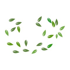 leaves background pattern