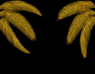 Tropical Different shaped golden palm leaves. At both sides. Isolated on a black background without mesh and gradient. illustration