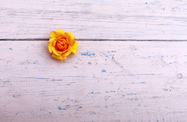 Beautiful roses on wooden background. Holidays romantic background.