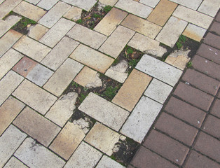 a fragment of a paved path, part of the tiles is broken and in their place the grass sprouts.