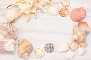 Seashells on a wooden light background. Travel and vacation concept. mock up