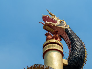 dragon on the roof of temple
