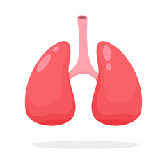 Lung vector. Study the function of the lungs and the respiratory system in the human body.