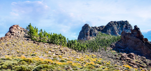 Fototapeta na wymiar beautiful desert landscape of Teide Park on the island of Tenerife