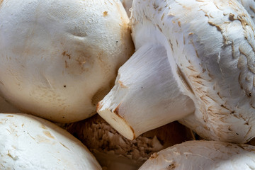 Close up of white and brown mushrooms.