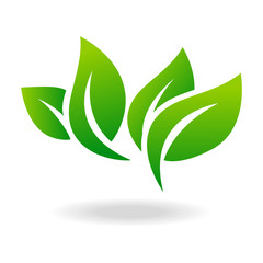 Eco icon green leaf vector illustration isolated.