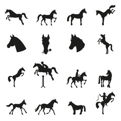 Horse collection - vector silhouette.