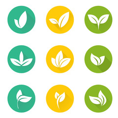 Vector tropical set leaves.