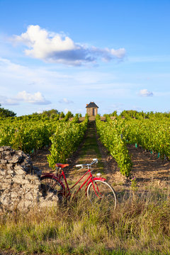 Vélo rouge ancien dans les vignes en France.