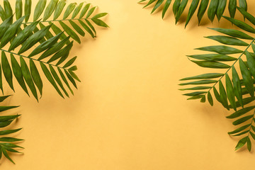 Fototapeta na wymiar tropical palm leaves frame on a yellow background. summer plant background. horizontal image, place for text