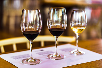 View on Degustation of white and red port wine in tasting room, Portugal