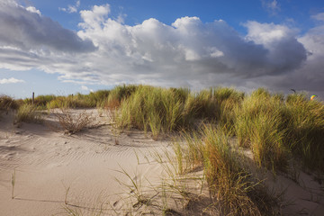 Dünen in Warnemünde