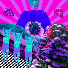 Contemporary art collage.Psychedelic, Hallucination,Mushrooms creative