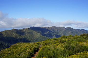 Fototapeta na wymiar Aussicht bei einer Wanderung auf der Hochebene von Madeira
