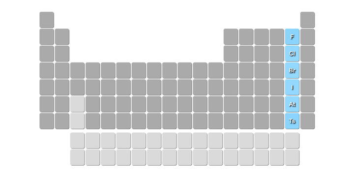 table of chemical elements - halogen group