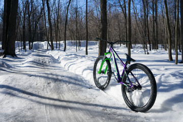 Fototapeta premium the bike stands in the background of dirt jumping in winter