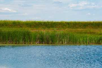 Summer village river landscape blue sky blue river and green grass bank.