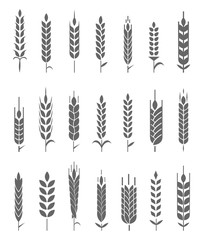Wheat Ears Icons and Logo Set. Organic wheat, bread agriculture and natural eat.