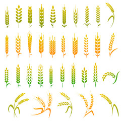 Cereals icon set with rice, wheat, corn, oats, rye, barley. Concept for organic products label, harvest and farming, grain, bakery, healthy food.