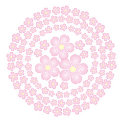 桜の花 背景素材 フレーム コースター イラスト