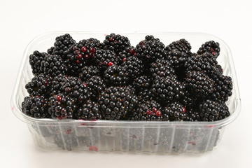 Backberry as a background.  Top view,