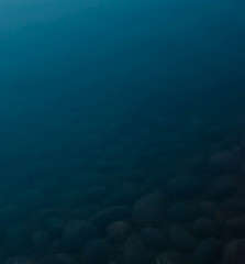 bottom of a lake with rocks