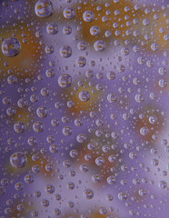 Abstract background with colorful gradient colors. Oil drops in water abstract psychedelic pattern image.