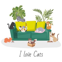 Fototapeta na wymiar Cute cats, home pets cartoon vector illustration. Interior of the living room with plants and cats and kitten on cozy sofa. Home pets and i love cats quote isolated on white.