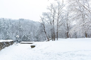 winter in the park