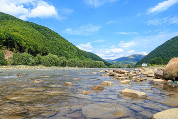 Mountain river near the village on a sunny summer day