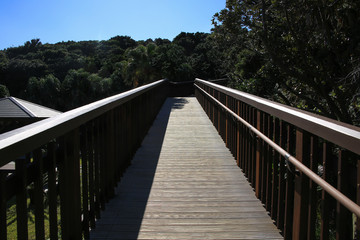 鹿児島県南大隅町　佐多岬展望所への遊歩道