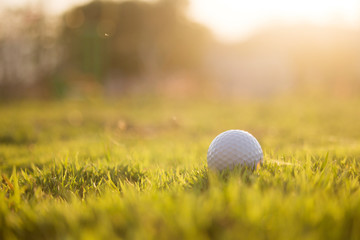 golf ball is on a green lawn in a beautiful golf course