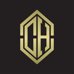 DH Logo monogram with hexagon shape and outline slice style with gold colors