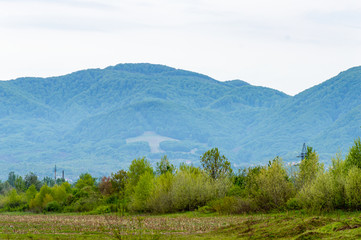 Panoramic view of Carpathian mountains, Khust, Transcarpathia Ukraine. Horizontal outdoors shot.