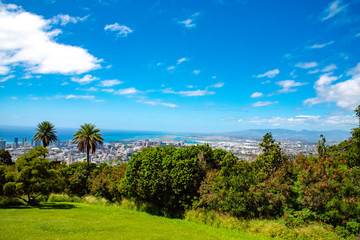 Fototapeta premium Honolulu Panoramic View